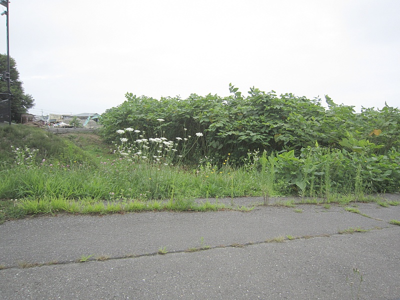 森町字森川町土地