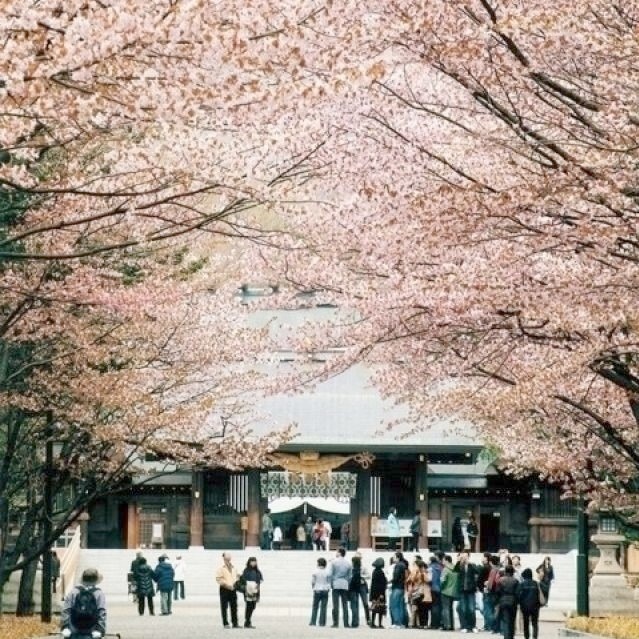 北海道神宮