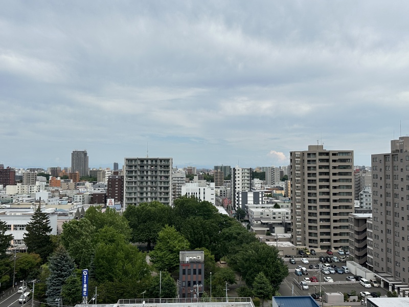 緑のある街並みを見渡せる、日中の眺望です。周辺環境の参考に