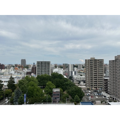 緑のある街並みを見渡せる、日中の眺望です。周辺環境の参考に