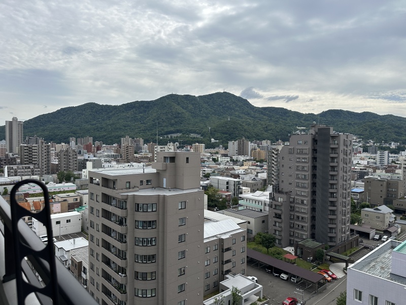 山並みを望む昼間の眺望。街並みと自然が近い環境です