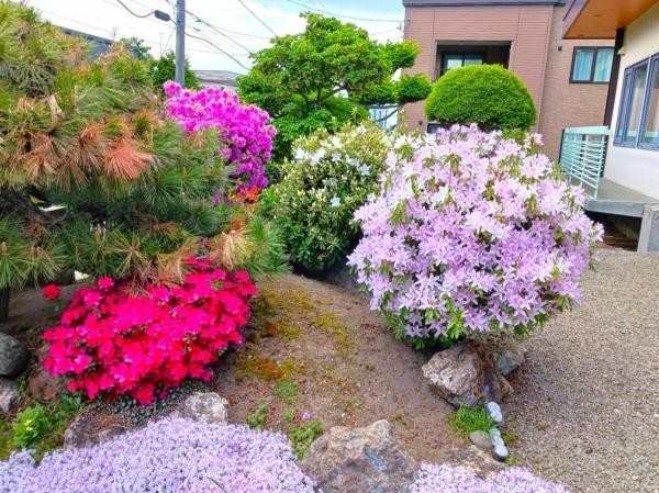 植栽や庭石が配されたお庭。季節の草花を眺めながら、庭のある暮