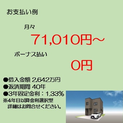 お支払例の一例です。
詳細はお問合せください。