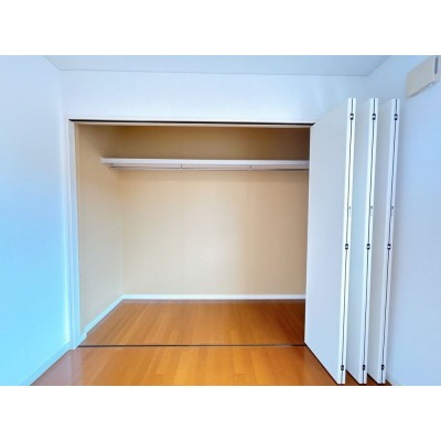 【現況写真】2階東側の洋室にある収納になります。