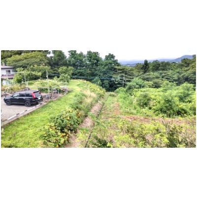 物件写真 25