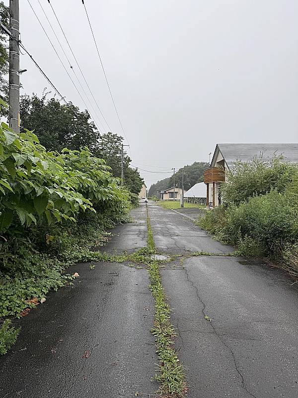 周辺道路
