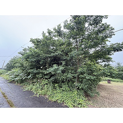470-99　　85万