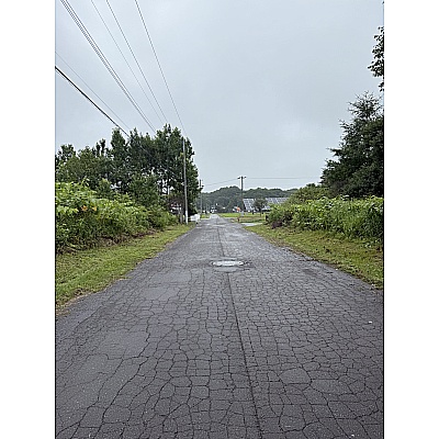 周辺道路