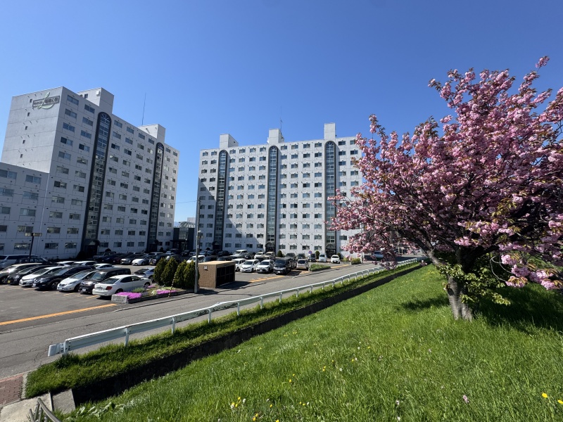 小学校や公園も近く、子育て世代に嬉しい住環境です。
