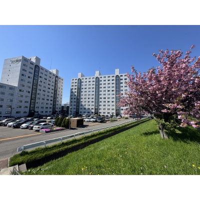 小学校や公園も近く、子育て世代に嬉しい住環境です。