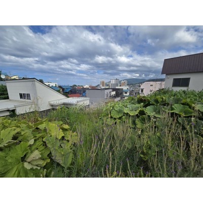 物件写真 6