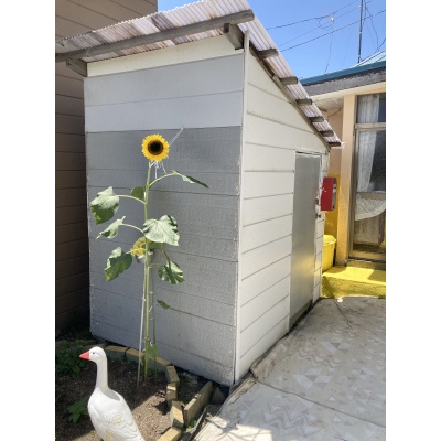 物件写真 12