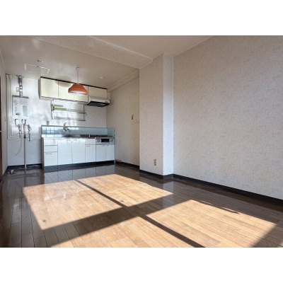 ダイニングセットやソファなどもゆったり配置できる広さです。