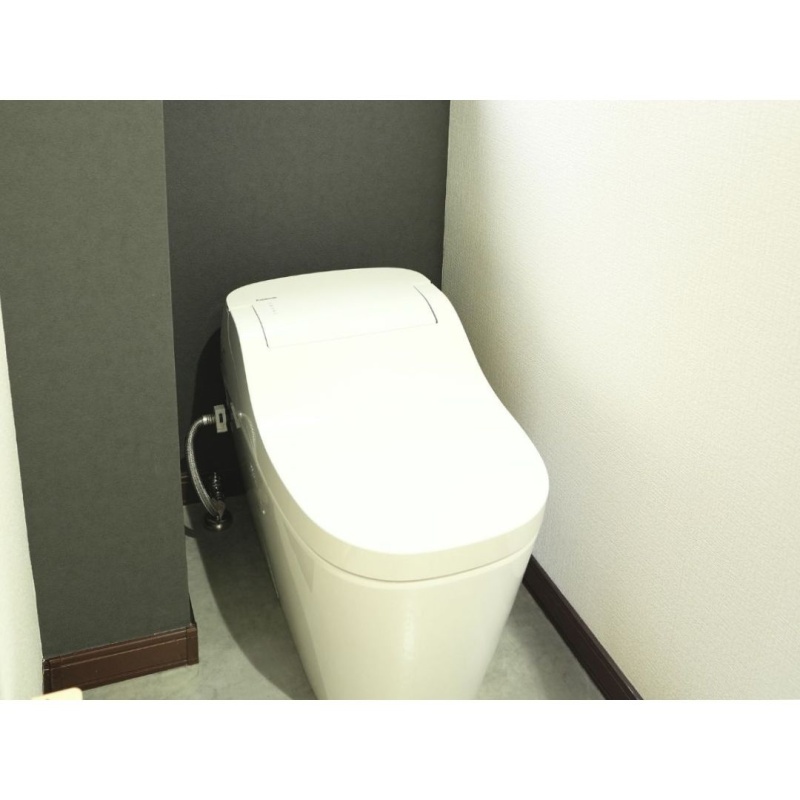 トイレは高機能タンクレストイレのアラウーノに変更