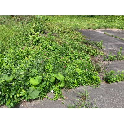 物件写真 5