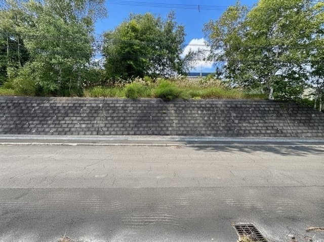 敷地内から前面道路部分を撮影