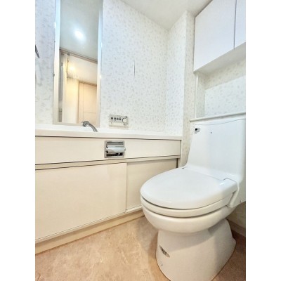 【現況】トイレには手洗い場がございます。