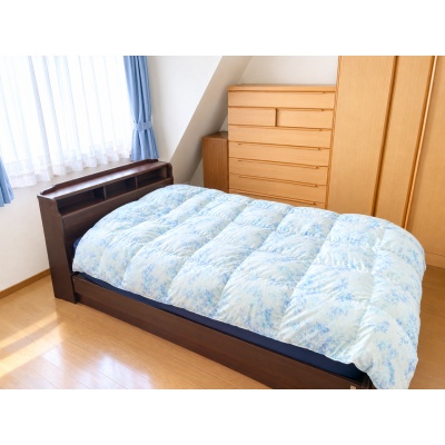 写真は家具・家電等をAI消去加工しております。現況は内覧でご確認ください。