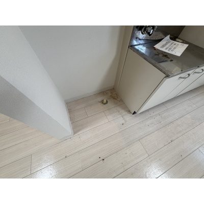 物件写真 12