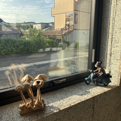 物件写真 6