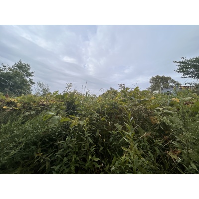 物件写真 13