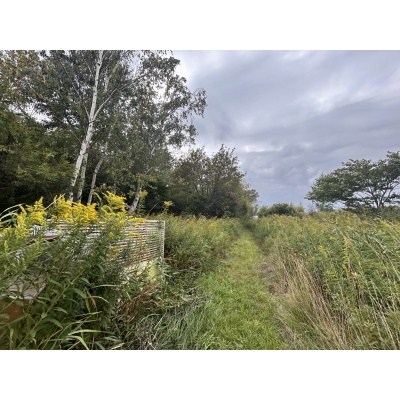 物件写真 15