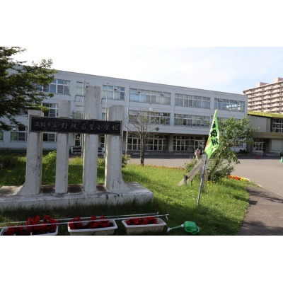 野幌若葉小学校