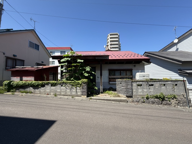 花園4大成売地