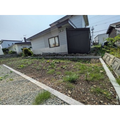庭
