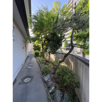 庭