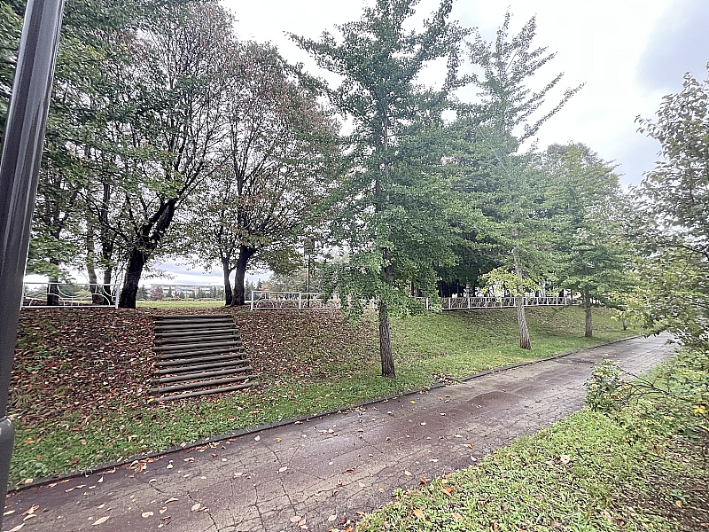 遊歩道の雰囲気が大変良いです♪