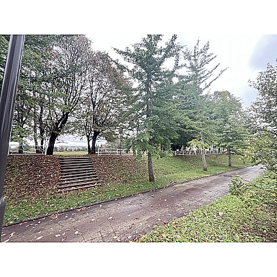 遊歩道の雰囲気が大変良いです♪