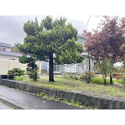 お庭廻りもキレイに整備されています♪