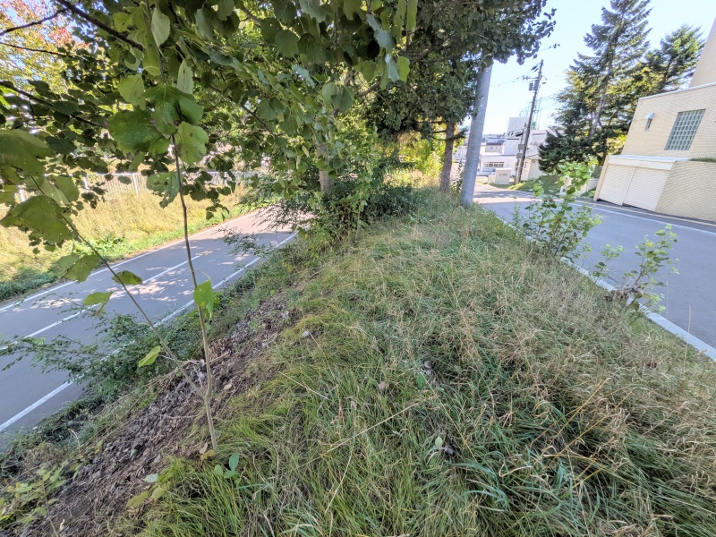 前面道路