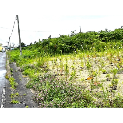 物件写真 11
