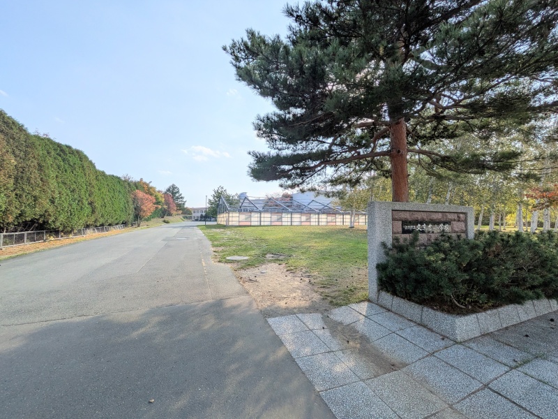 文京台小学校