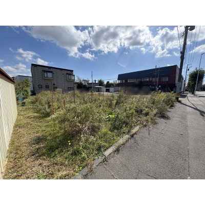 西側の歩道沿いから見た敷地