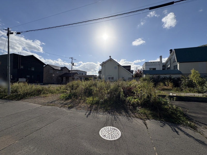 南東側道路から見た現地