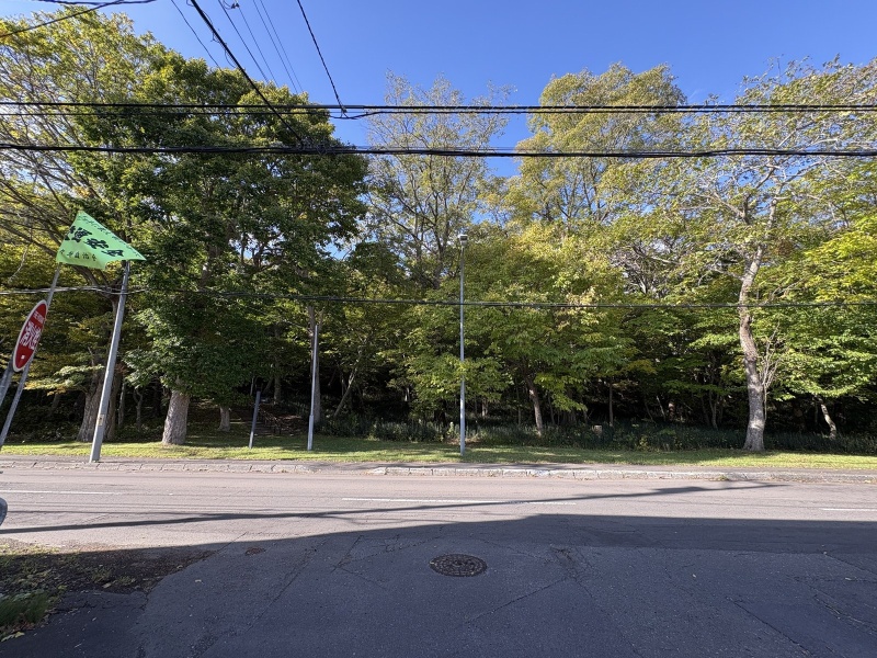 青葉公園（現地から約40m）