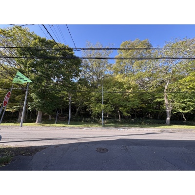 青葉公園（現地から約40m）