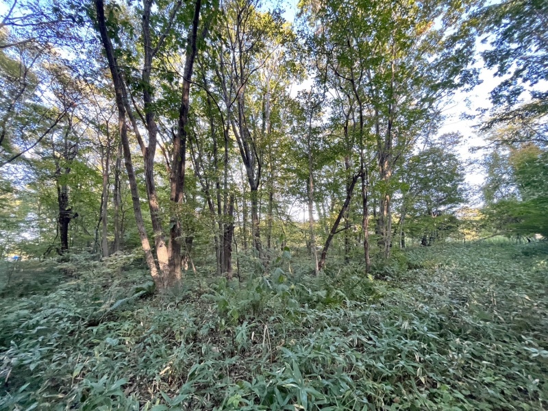 恵庭市恵南 194坪売土地 現地写真