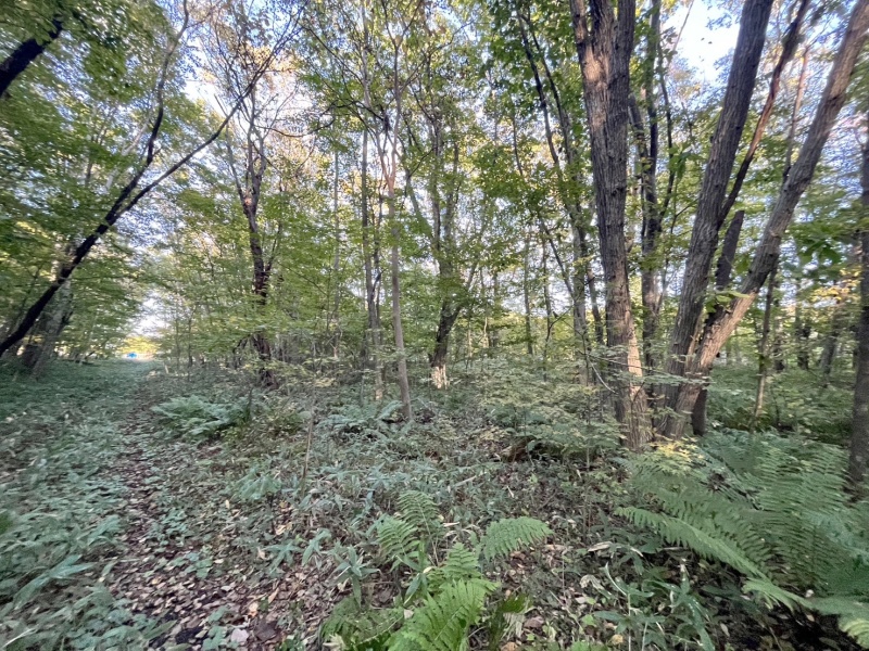 恵庭市恵南 194坪売土地 現地写真
