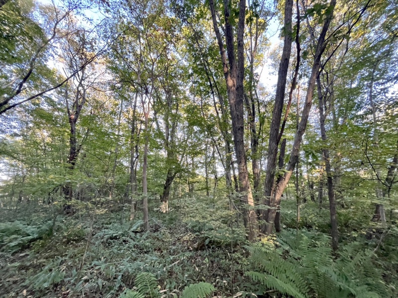 恵庭市恵南 194坪売土地 現地写真