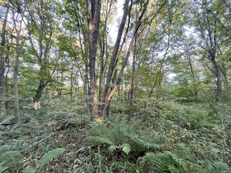 恵庭市恵南 194坪売土地 現地写真