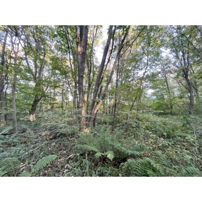 恵庭市恵南 194坪売土地 現地写真