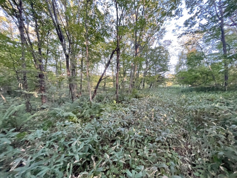恵庭市恵南 194坪売土地 現地写真