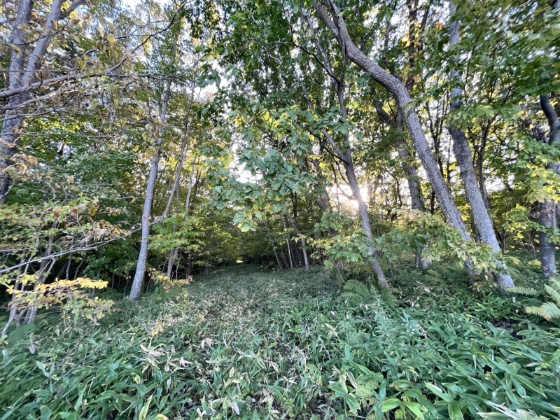 恵庭市恵南 194坪売土地 現地写真