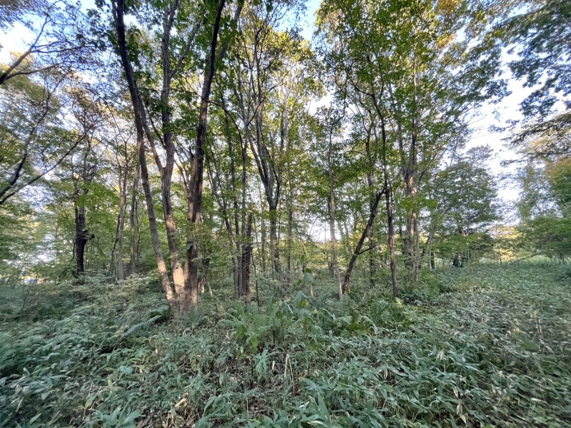 恵庭市恵南 194坪売土地 現地写真