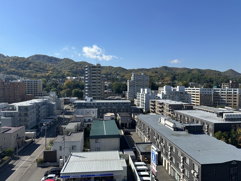 遠くに広がる豊かな緑の山々と落ち着いた街並みを一望できる爽快な眺望です。