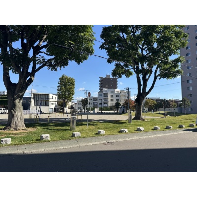青空のもと大きな木々に囲まれ、広々としたスペースと遊具でゆったり寛げる緑豊かな公園です。